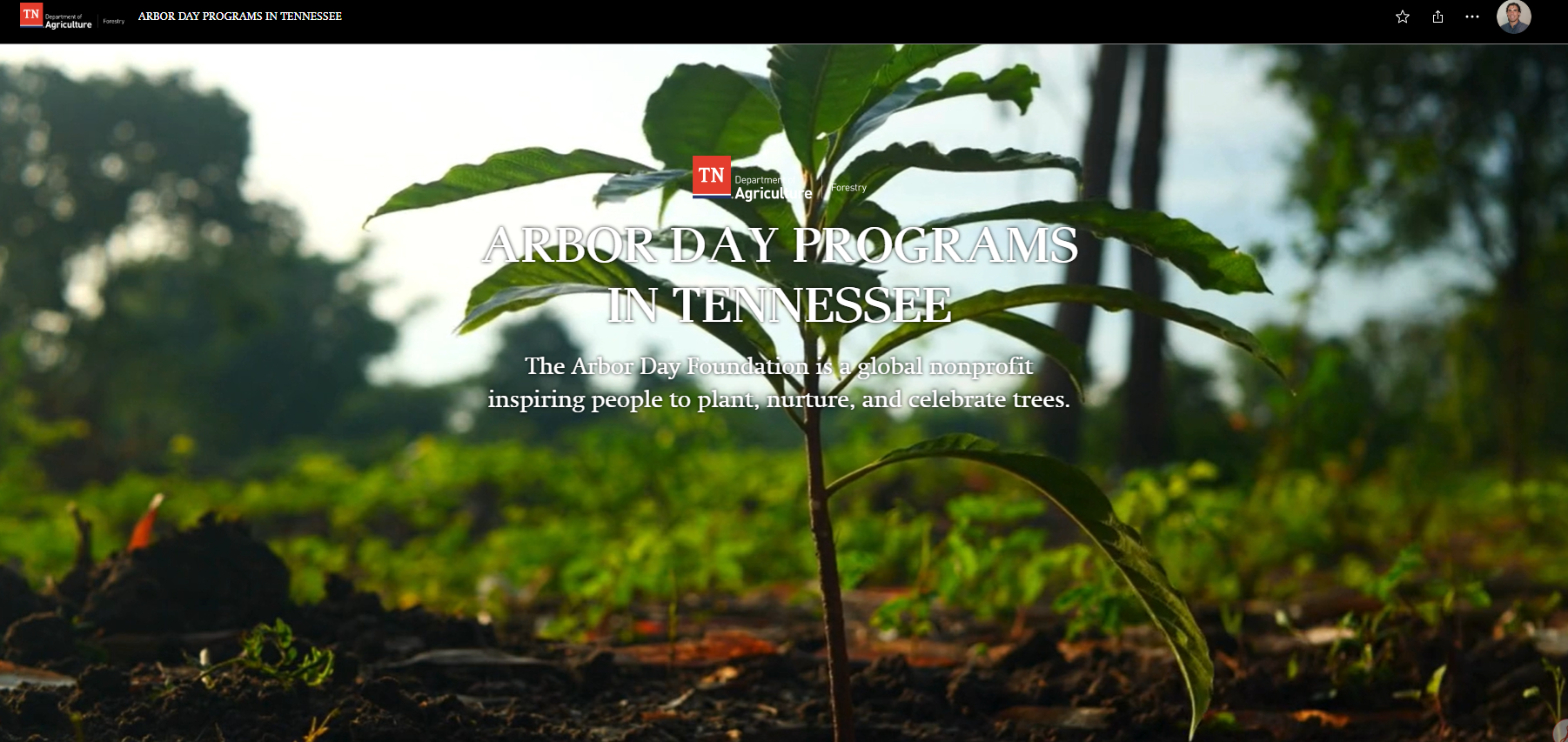 Arbor Day - Story Map